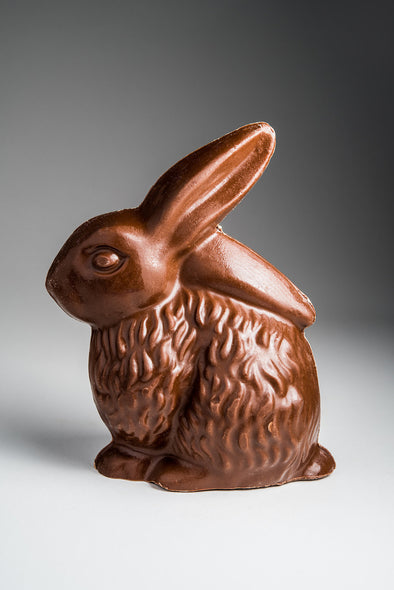 Large Floppy Eared Chocolate Bunny